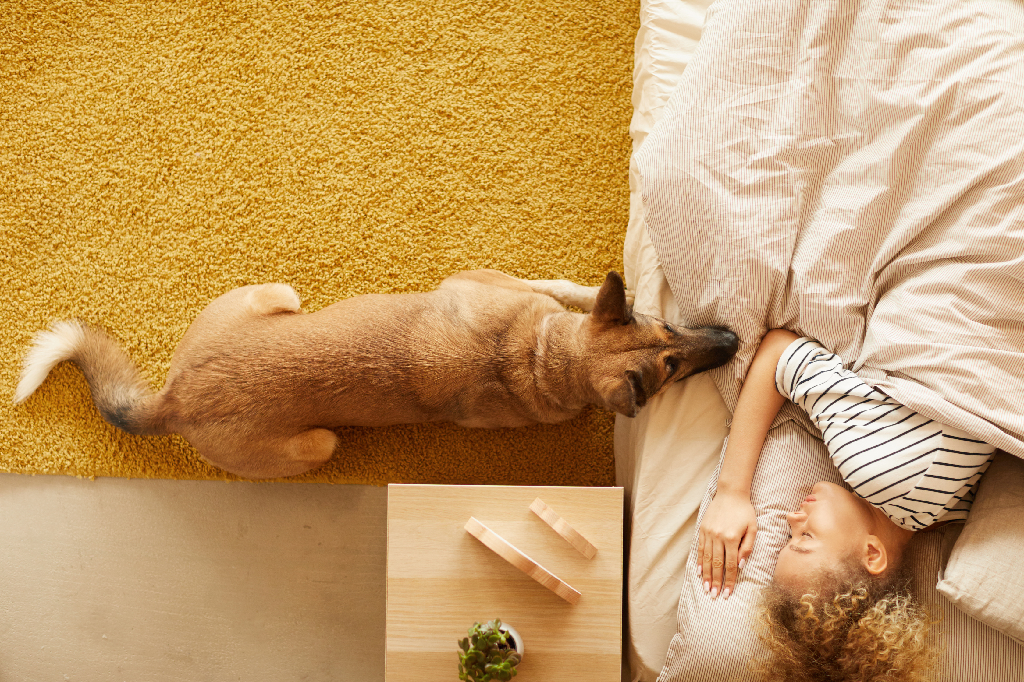 a dog laying on a bed next to a sleeping woman

Are you or a loved one struggling to maintain activities of daily living (ADLs)?